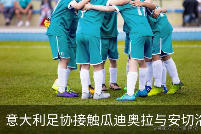 意大利足协接触瓜迪奥拉与安切洛蒂 马尔蒂尼确认选帅进展
