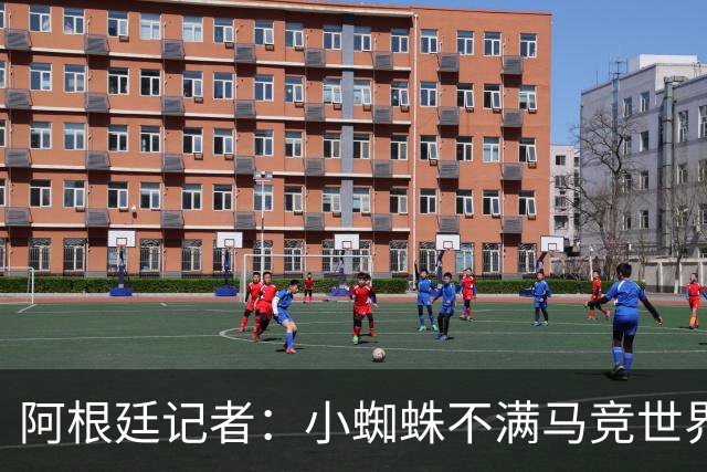 阿根廷记者：小蜘蛛不满马竞世界杯决赛前发声，或考虑回归后罢训